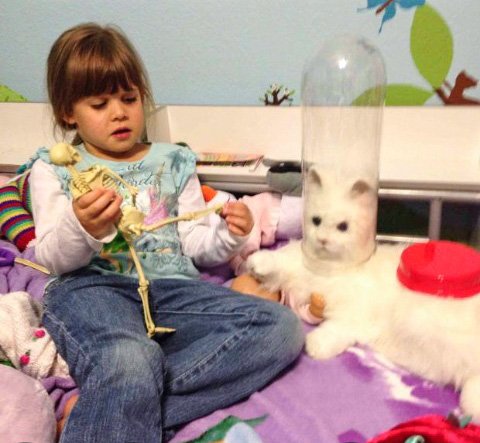 Bildschirmarbeiter - Picdump 25.03.2016