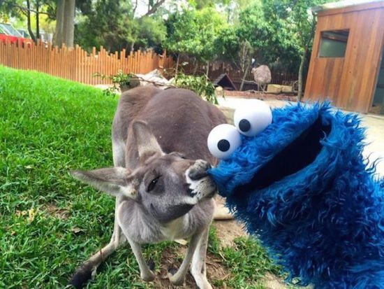 Bildschirmarbeiter - Picdump 25.03.2016