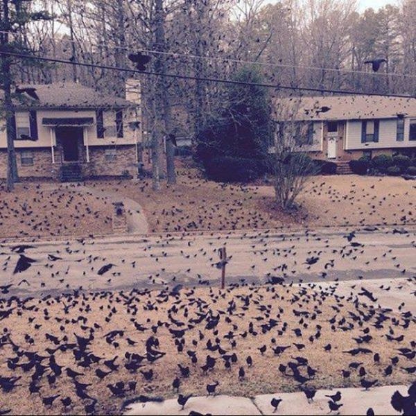 Bildschirmarbeiter - Picdump 25.03.2016