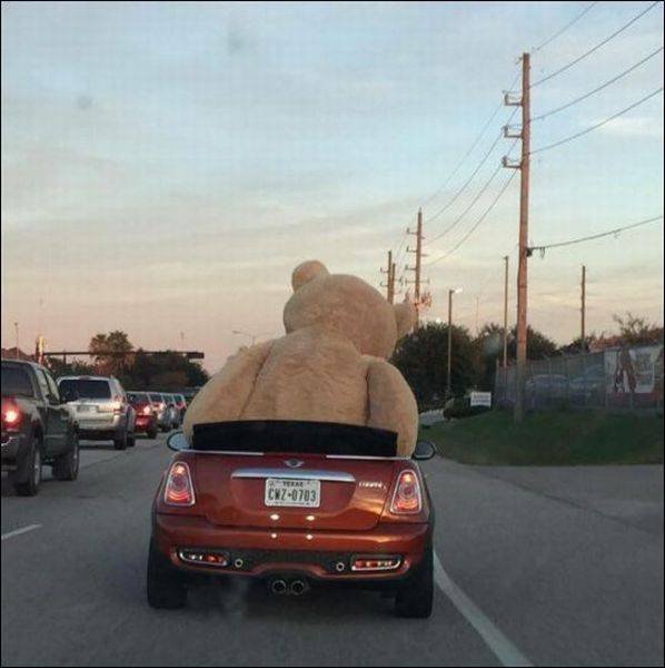 Bildschirmarbeiter - Picdump 01.04.2016