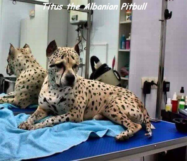 Bildschirmarbeiter - Picdump 01.04.2016