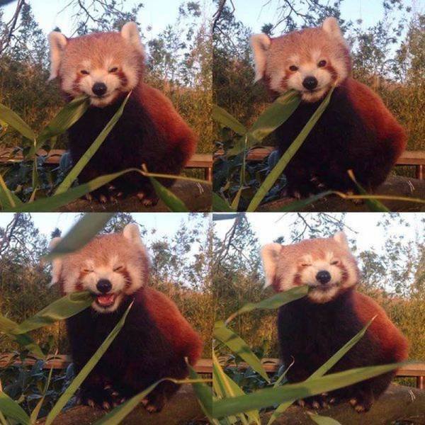 Bildschirmarbeiter - Picdump 01.04.2016