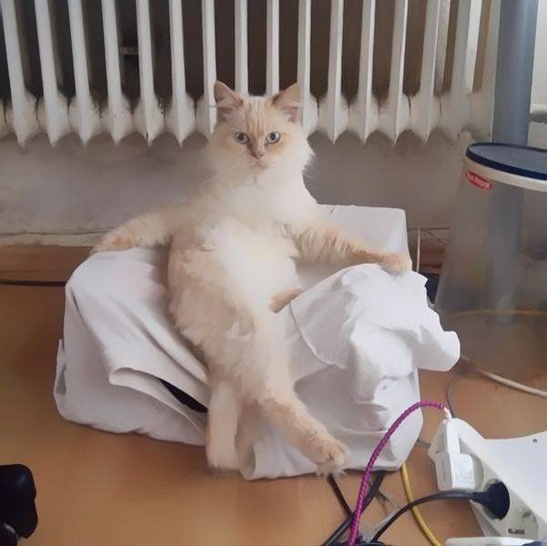 Bildschirmarbeiter - Picdump 01.04.2016