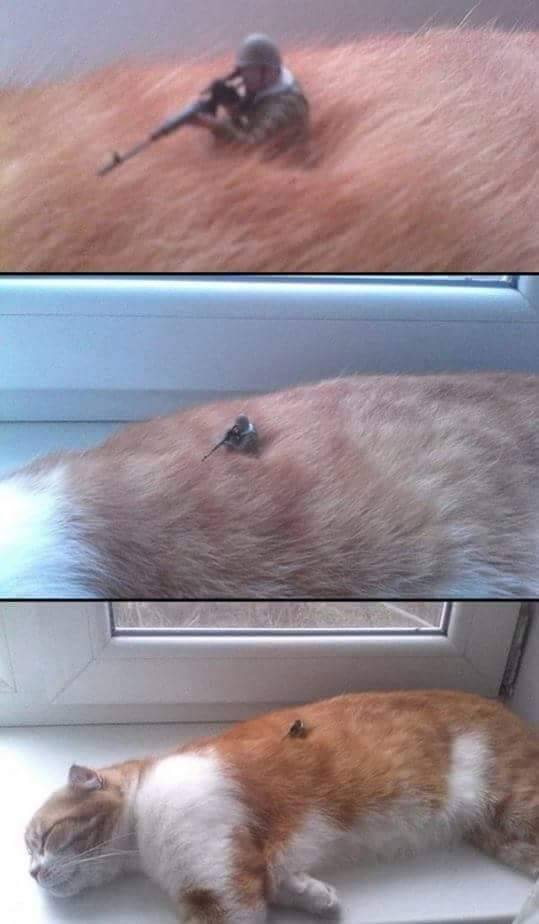 Bildschirmarbeiter - Picdump 01.04.2016