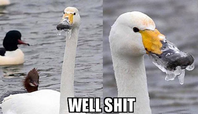 Bildschirmarbeiter - Picdump 01.04.2016