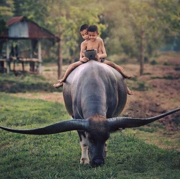 Bildschirmarbeiter - Picdump 08.04.2016