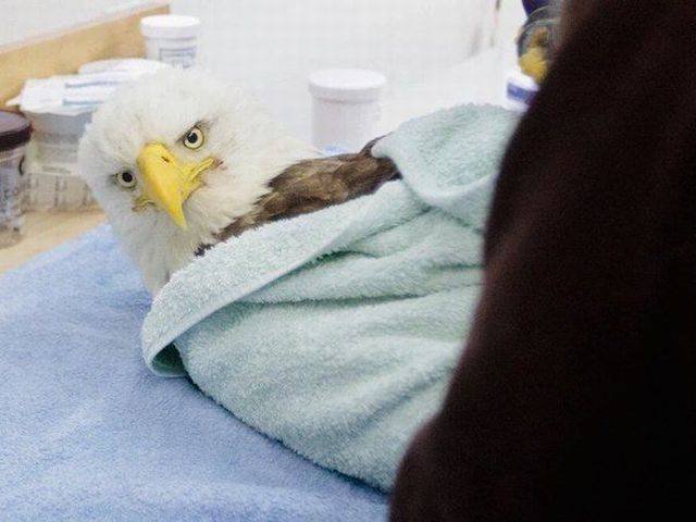 Bildschirmarbeiter - Picdump 08.04.2016