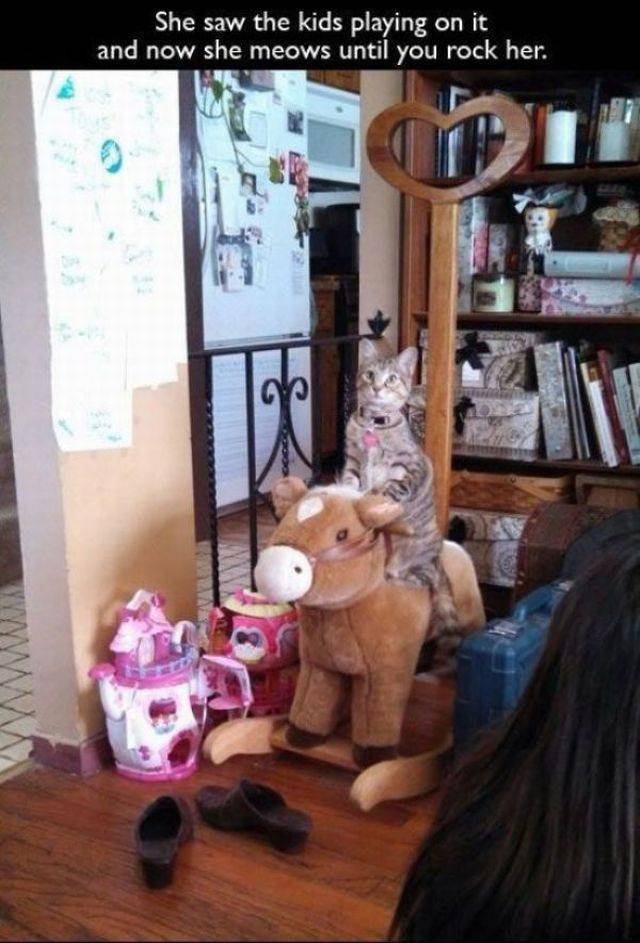 Bildschirmarbeiter - Picdump 08.04.2016