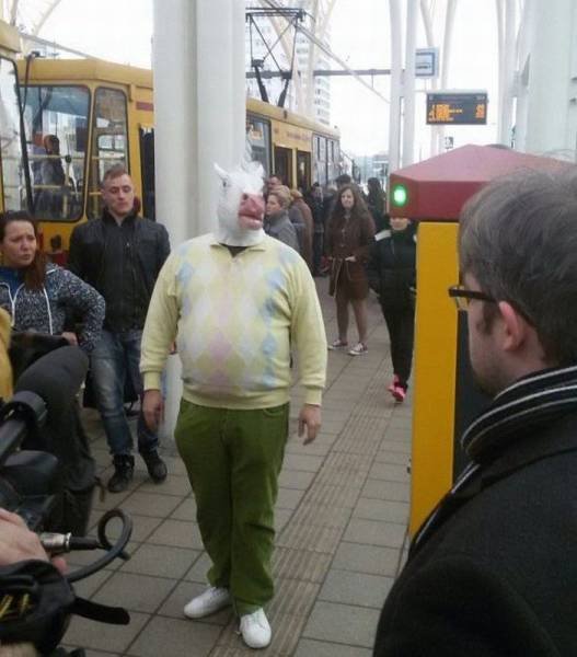 Bildschirmarbeiter - Picdump 08.04.2016