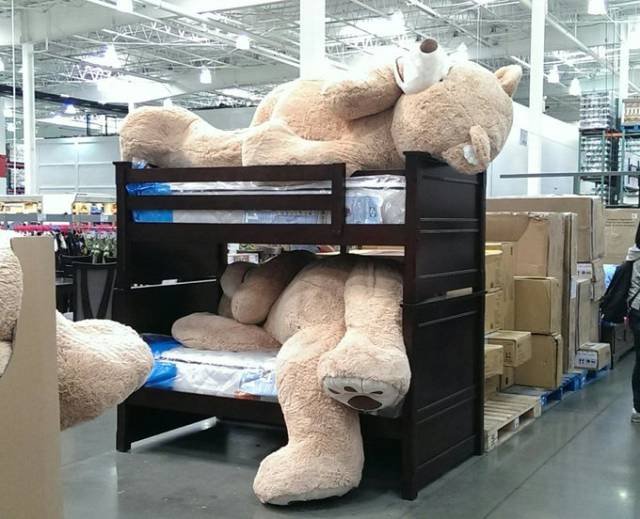 Bildschirmarbeiter - Picdump 08.04.2016