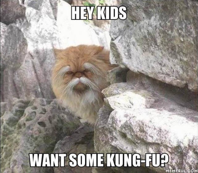 Bildschirmarbeiter - Picdump 08.04.2016