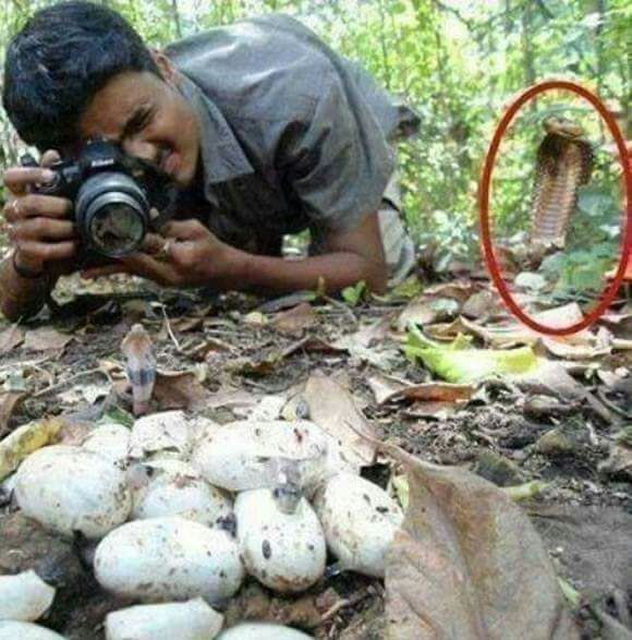 Bildschirmarbeiter - Picdump 08.04.2016