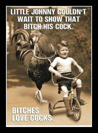 Bildschirmarbeiter - Picdump 08.04.2016