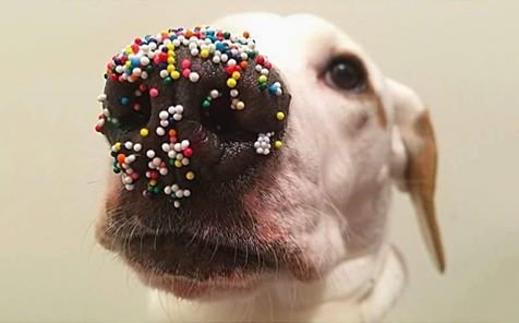 Bildschirmarbeiter - Picdump 15.04.2016