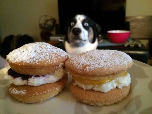 Bildschirmarbeiter - Picdump 15.04.2016