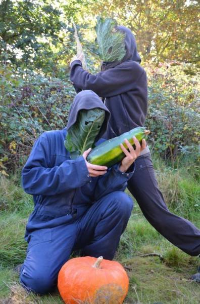 Bildschirmarbeiter - Picdump 15.04.2016