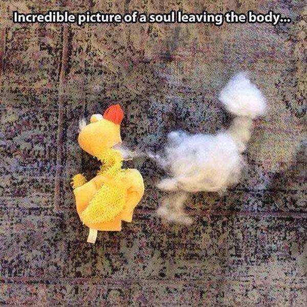 Bildschirmarbeiter - Picdump 15.04.2016