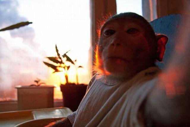 Bildschirmarbeiter - Picdump 15.04.2016