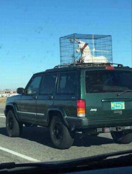 Bildschirmarbeiter - Picdump 15.04.2016