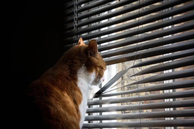 Bildschirmarbeiter - Picdump 15.04.2016