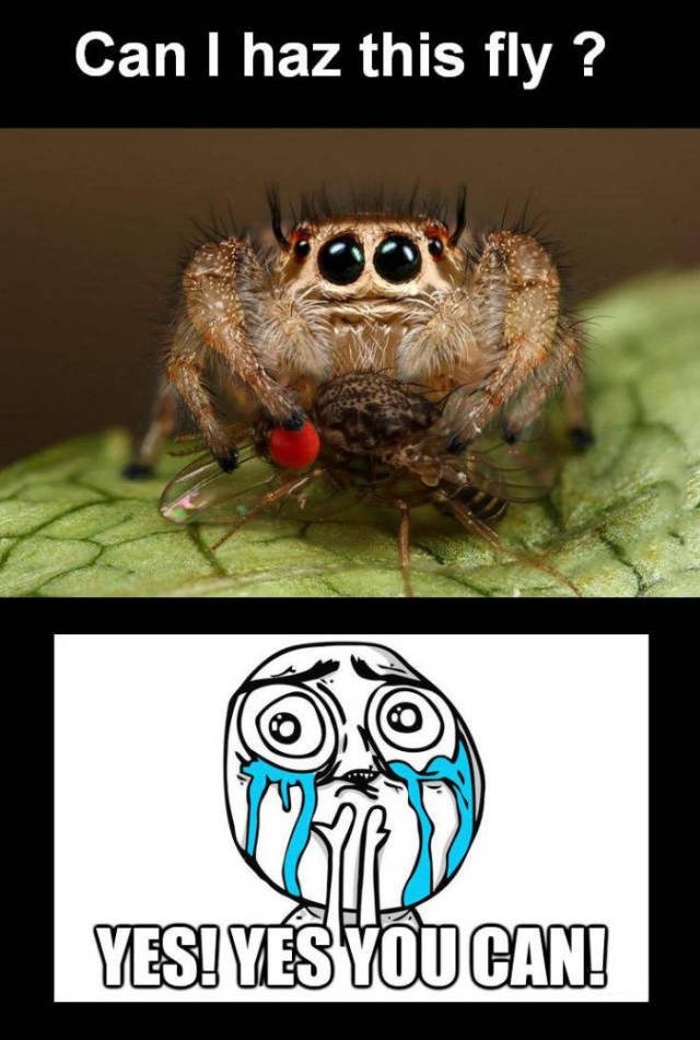 Bildschirmarbeiter - Picdump 15.04.2016