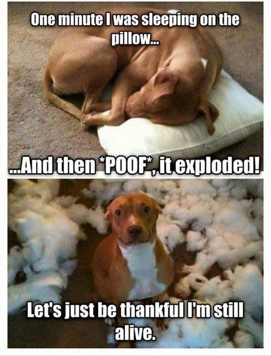 Bildschirmarbeiter - Picdump 15.04.2016