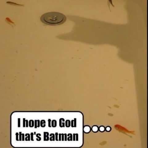 Bildschirmarbeiter - Picdump 15.04.2016