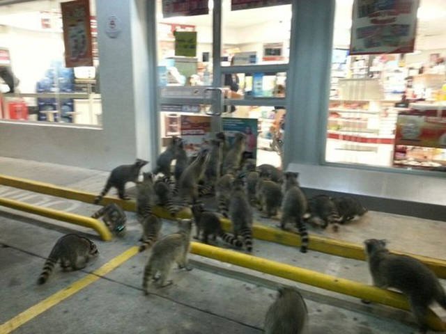 Bildschirmarbeiter - Picdump 15.04.2016