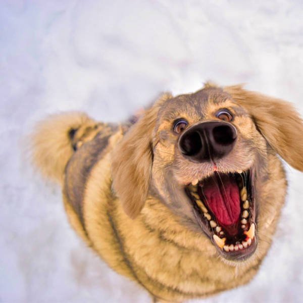 Bildschirmarbeiter - Picdump 15.04.2016