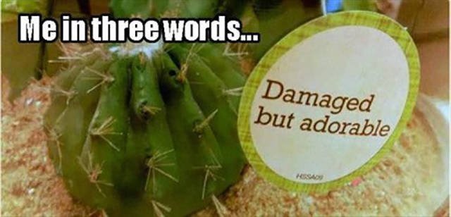 Bildschirmarbeiter - Picdump 15.04.2016