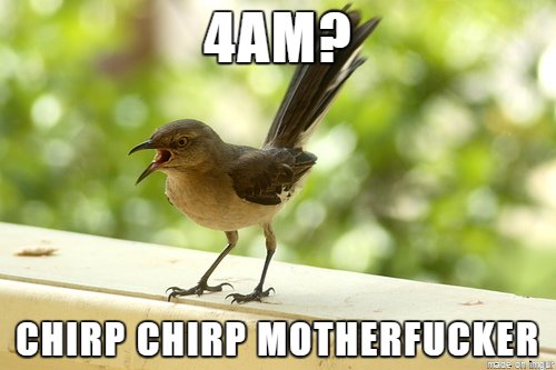 Bildschirmarbeiter - Picdump 22.04.2016