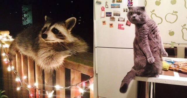 Bildschirmarbeiter - Picdump 22.04.2016