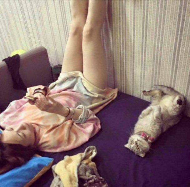 Bildschirmarbeiter - Picdump 22.04.2016