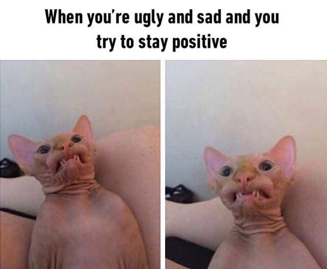 Bildschirmarbeiter - Picdump 22.04.2016