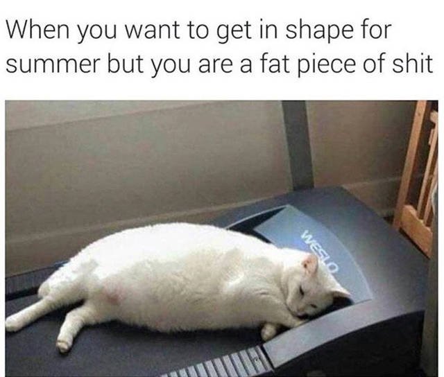 Bildschirmarbeiter - Picdump 22.04.2016