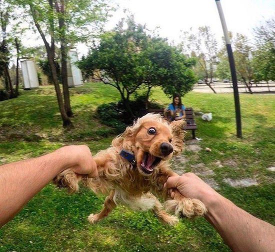 Bildschirmarbeiter - Picdump 22.04.2016