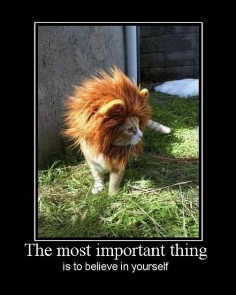 Bildschirmarbeiter - Picdump 22.04.2016