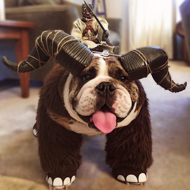 Bildschirmarbeiter - Picdump 22.04.2016