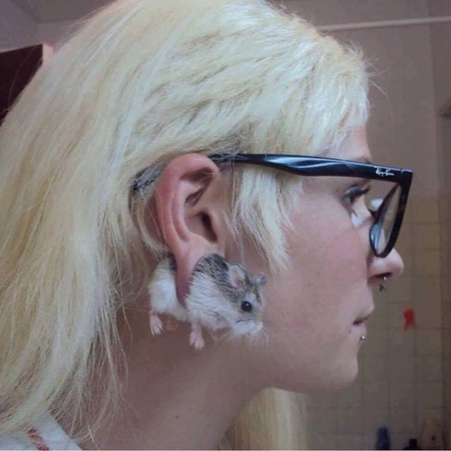 Bildschirmarbeiter - Picdump 06.05.2016