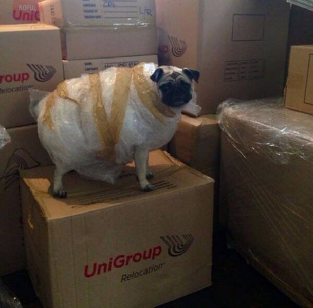 Bildschirmarbeiter - Picdump 06.05.2016