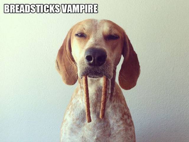 Bildschirmarbeiter - Picdump 06.05.2016