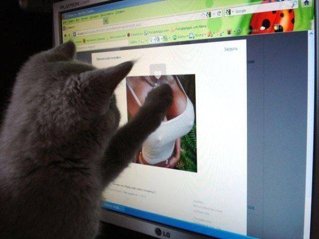 Bildschirmarbeiter - Picdump 06.05.2016