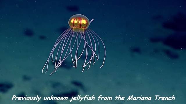 Bildschirmarbeiter - Picdump 06.05.2016