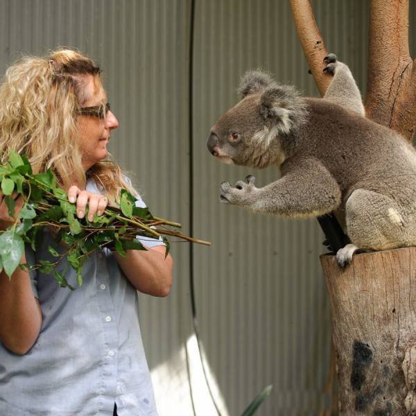 Bildschirmarbeiter - Picdump 06.05.2016