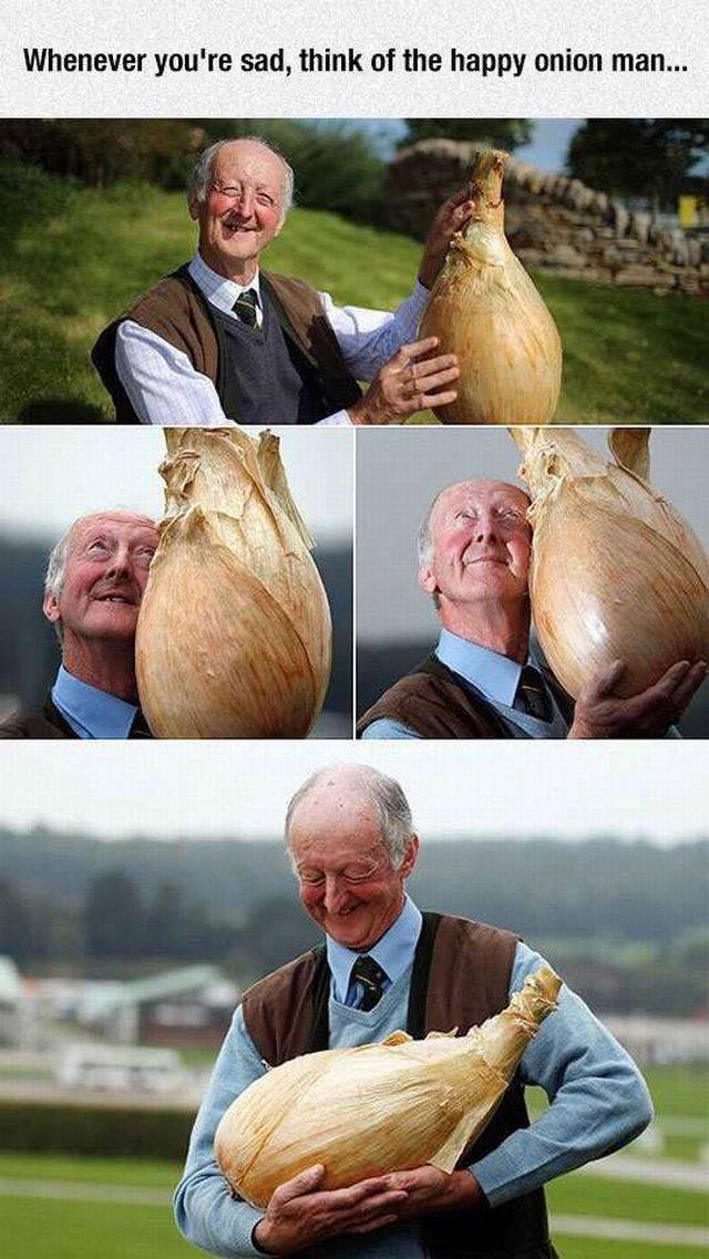 Bildschirmarbeiter - Picdump 06.05.2016