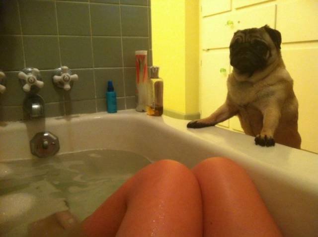 Bildschirmarbeiter - Picdump 06.05.2016