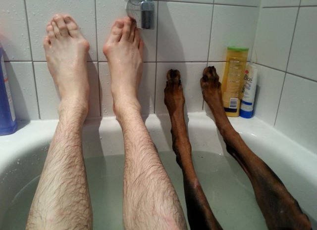 Bildschirmarbeiter - Picdump 06.05.2016