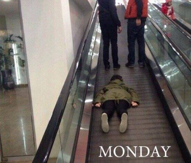 Bildschirmarbeiter - Picdump 06.05.2016