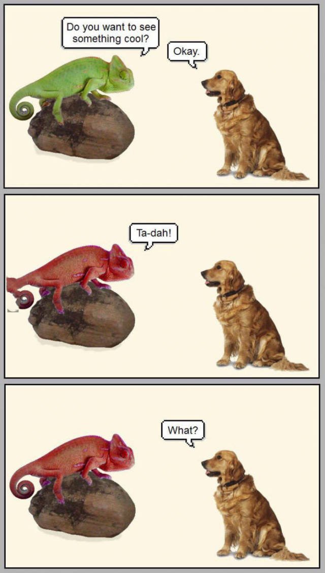 Bildschirmarbeiter - Picdump 06.05.2016