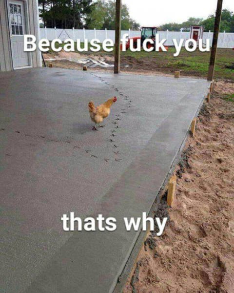 Bildschirmarbeiter - Picdump 06.05.2016